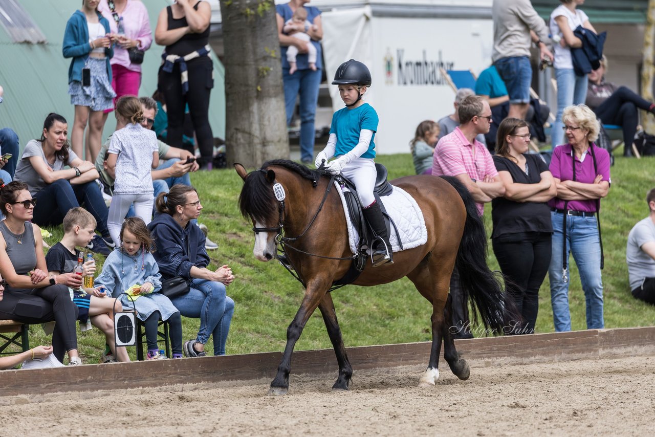 Bild 6 - Pony Akademie Turnier